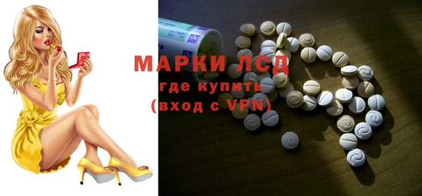 индика Алексин