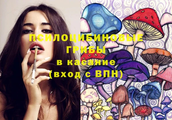 индика Алексин