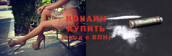 индика Алексин