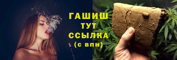 МДПВ Алзамай