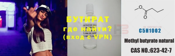 индика Алексин