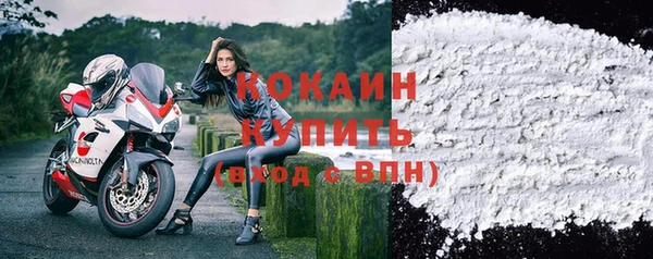 индика Алексин