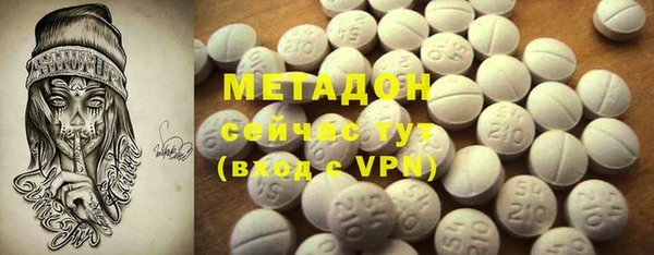 индика Алексин