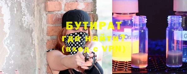 индика Алексин