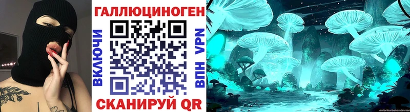 наркотики  Междуреченск  Псилоцибиновые грибы Cubensis 