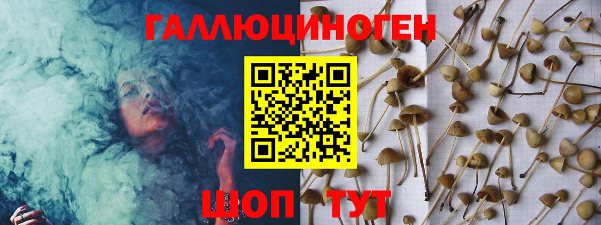 Псилоцибиновые грибы MAGIC MUSHROOMS  даркнет сайт  Междуреченск  Вход с VPN  Псилоцибиновые грибы мицелий 